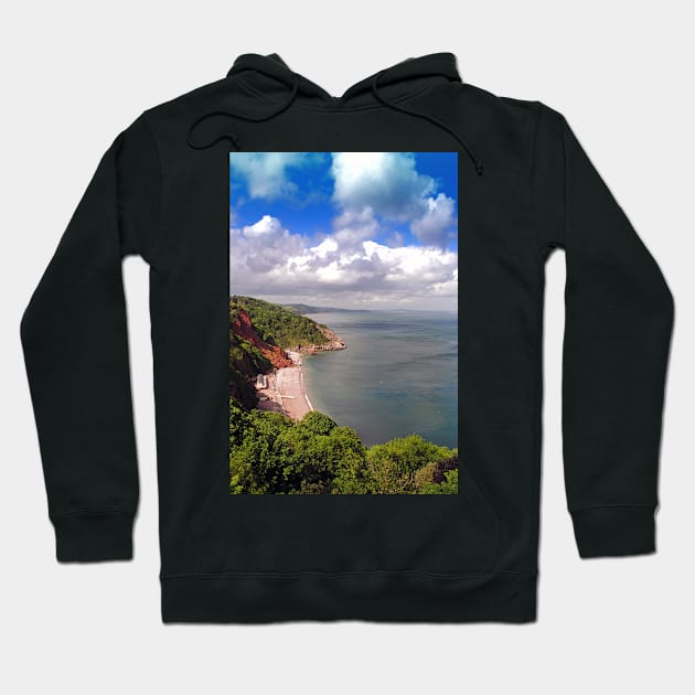 Oddicombe Beach Babbacombe Bay Devon Hoodie by AndyEvansPhotos